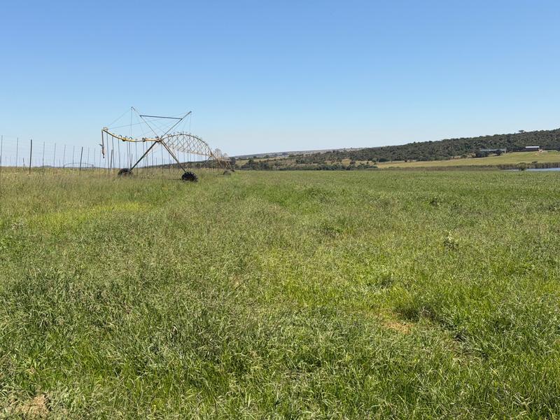 70 Bedroom Property for Sale in Middelburg Eastern Cape